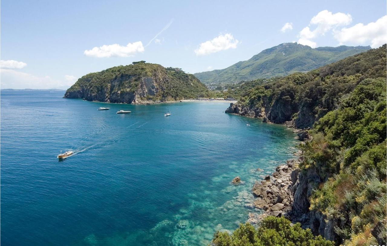 Pet Friendly Home In Ischia With Wifi المظهر الخارجي الصورة